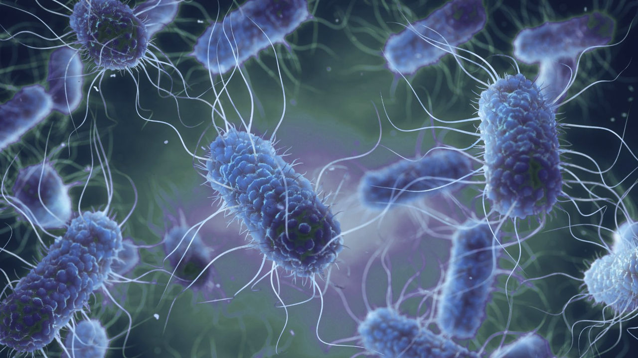 One step ahead of STEC - combatting the public health challenge of 
