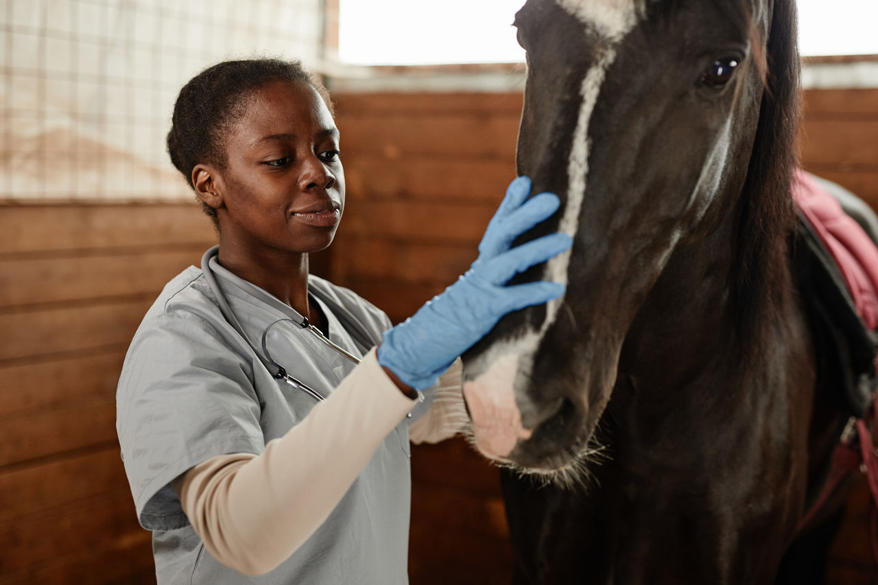 To achieve a definitive diagnosis in equine respiratory infections ...