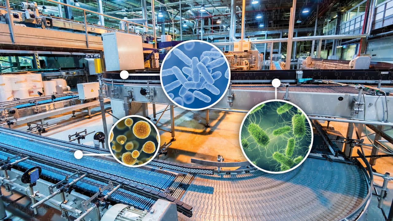 Root Cause Analysis in the Food Industry | Pioneering Diagnostics