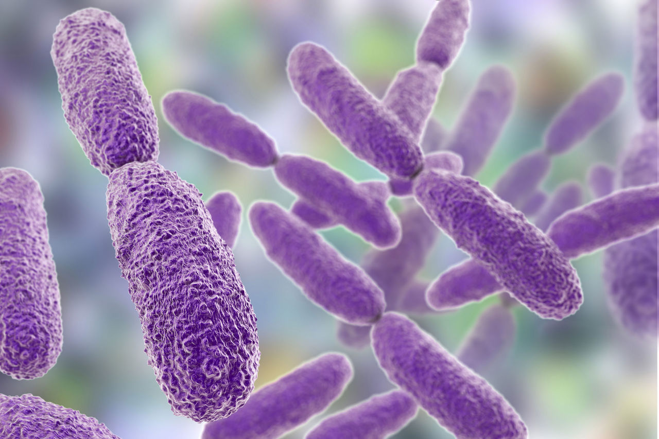 Bacterial Infections | Pioneering Diagnostics