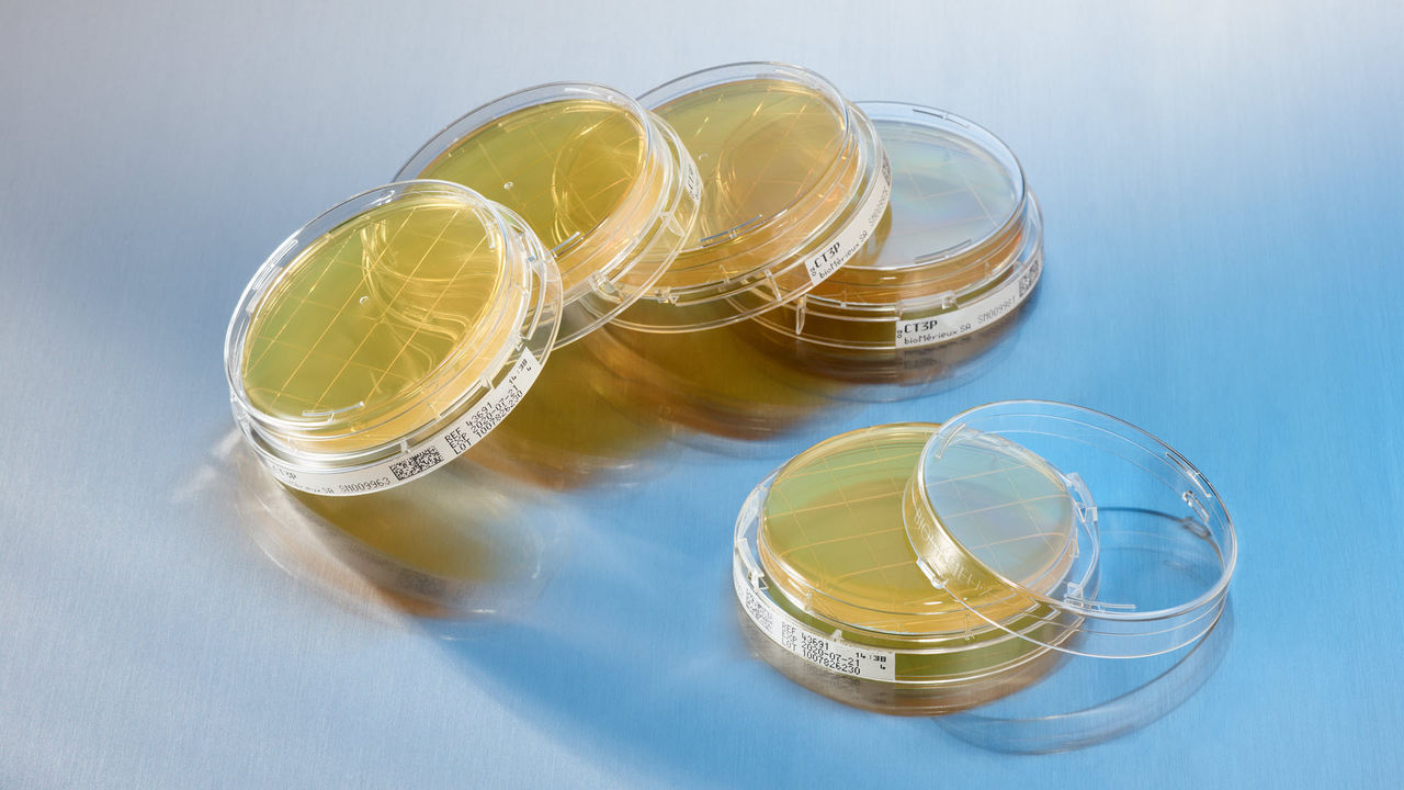 3P® SMART PLATES | Pioneering Diagnostics