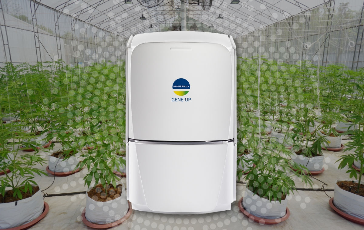 GENE-UP® PRO HOP LATENT VIROID | Pioneering Diagnostics