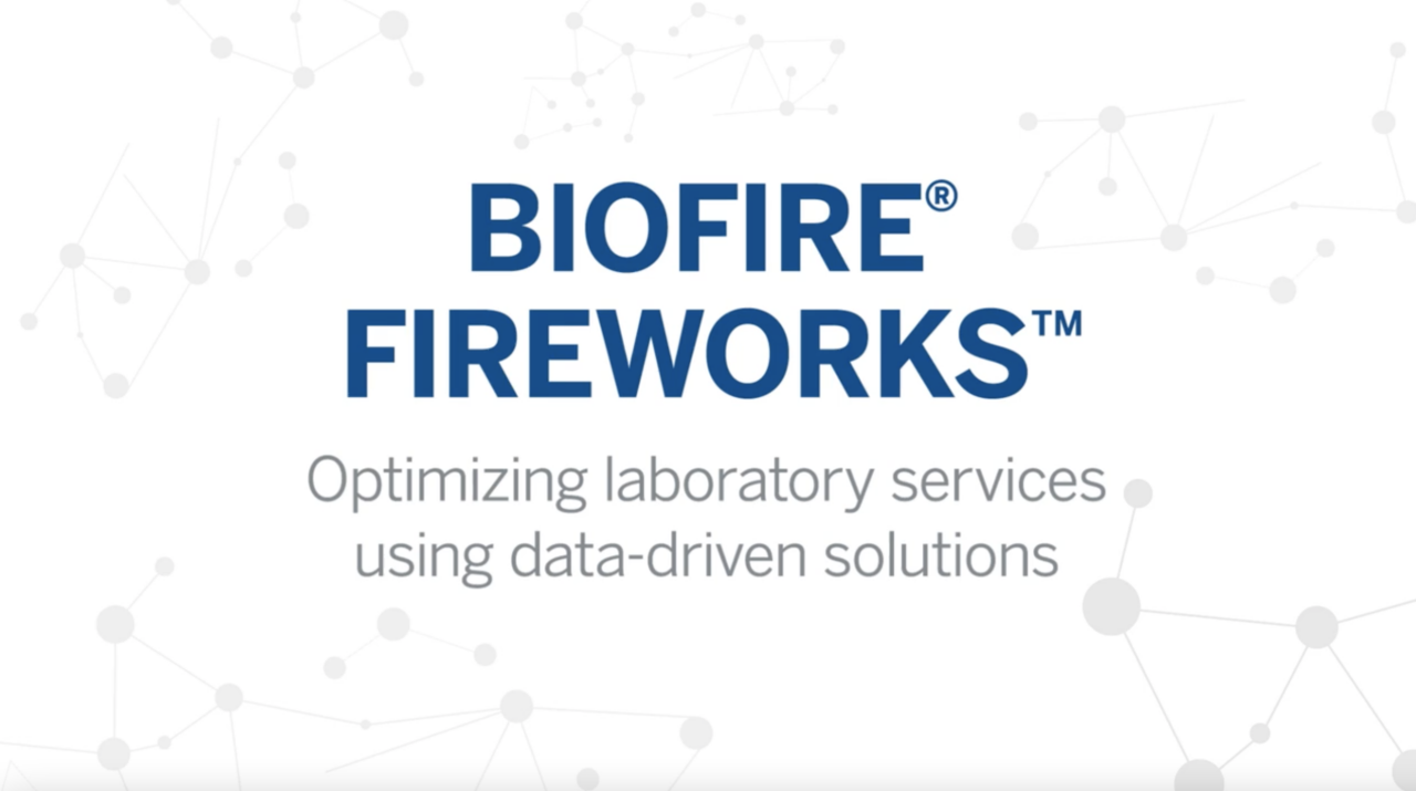 BIOFIRE FIREWORKS VIDEO