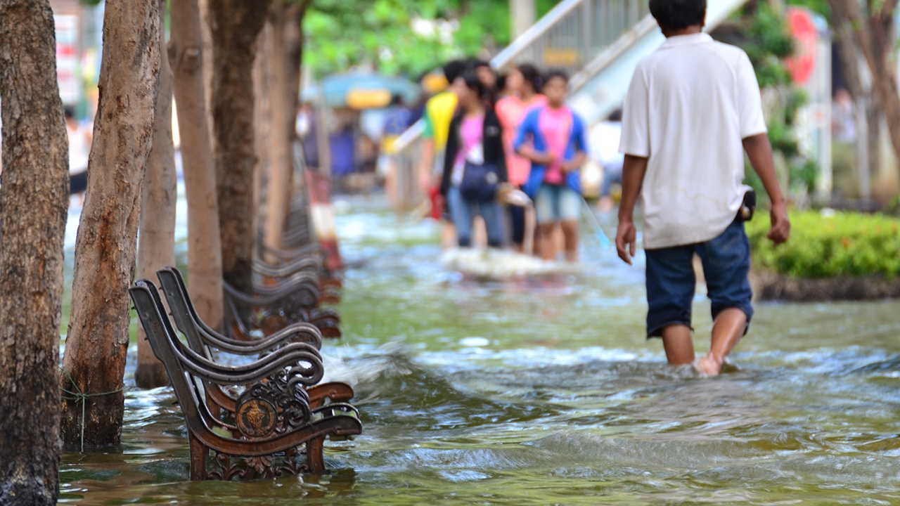  Flood in Bangkok,2011.