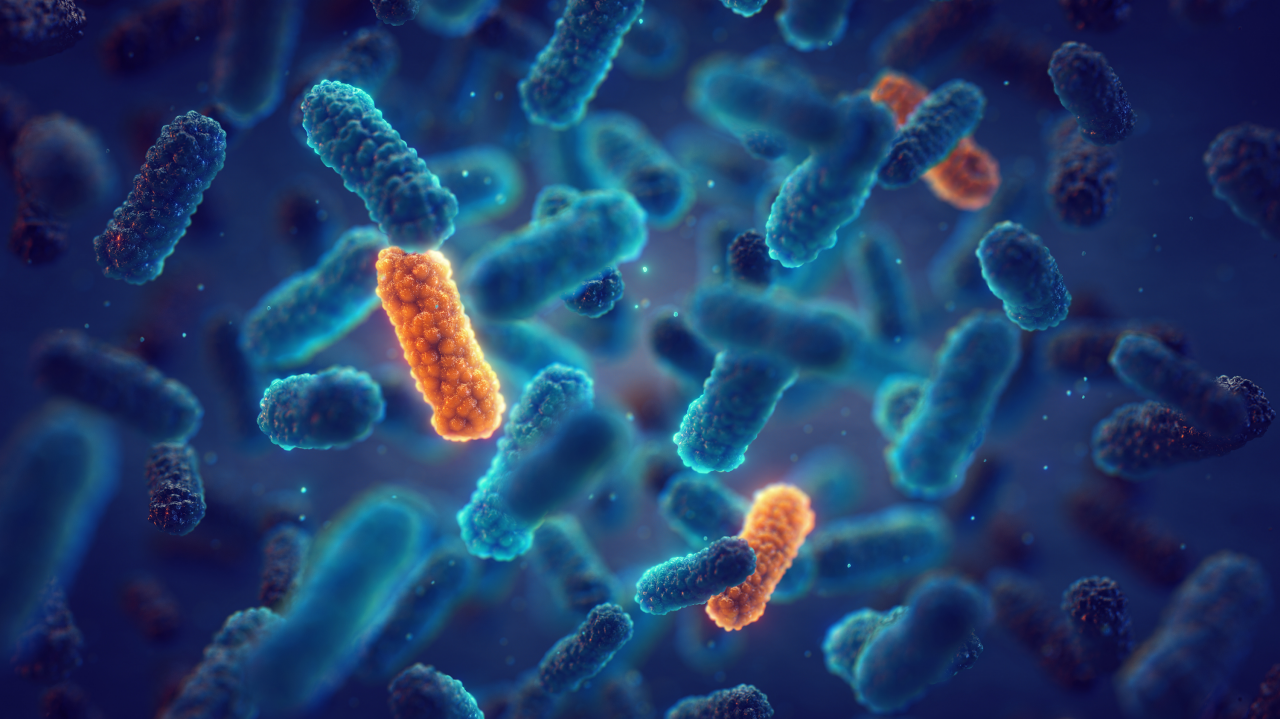  Boehringer Ingelheim, Evotec and bioMérieux launch Aurobac, a joint venture to fight Antimicrobial Resistance 02