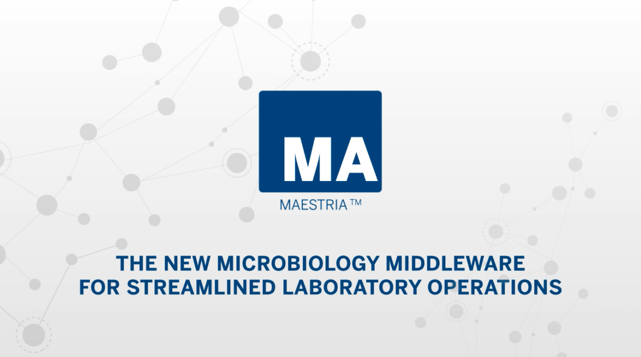 Miniatura del vídeo de MAESTRIA