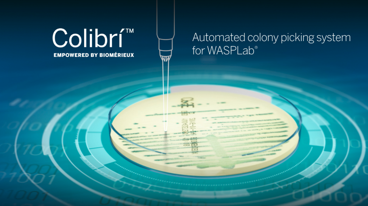 Teaser de Colibrí™