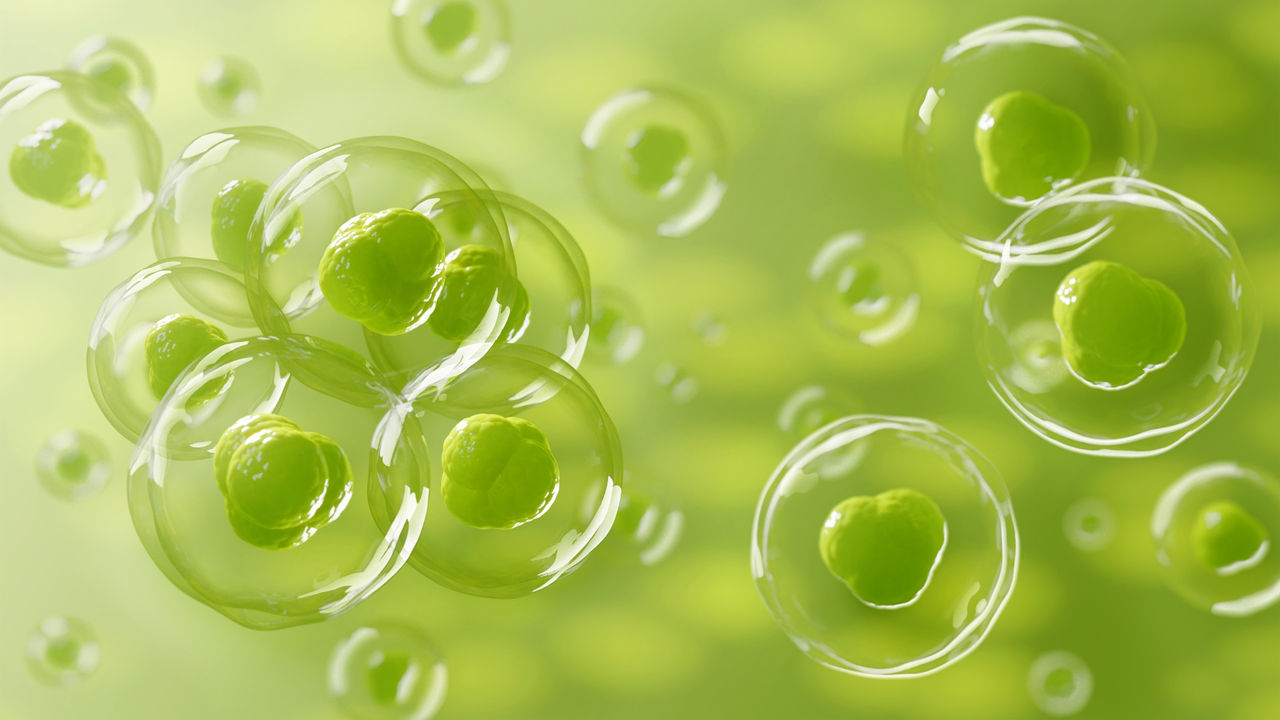 bioMérieux partners with NectsGen