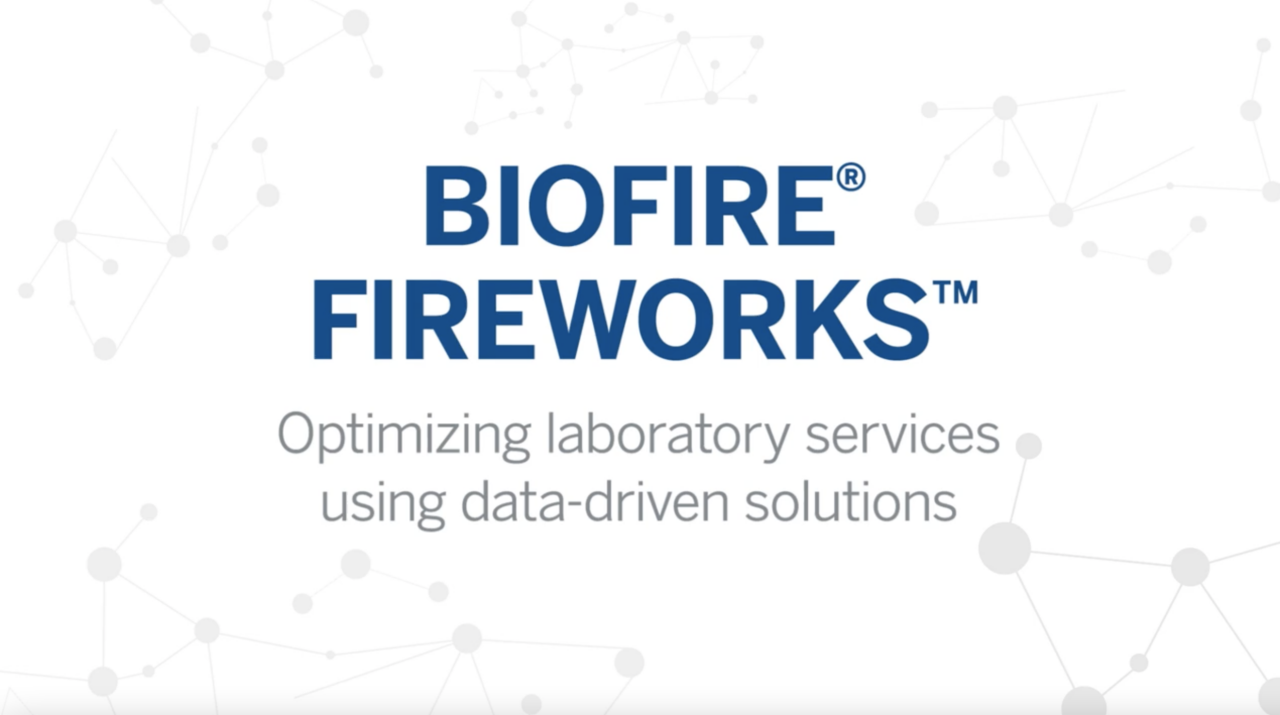 VIDEO SU BIOFIRE FIREWORKS