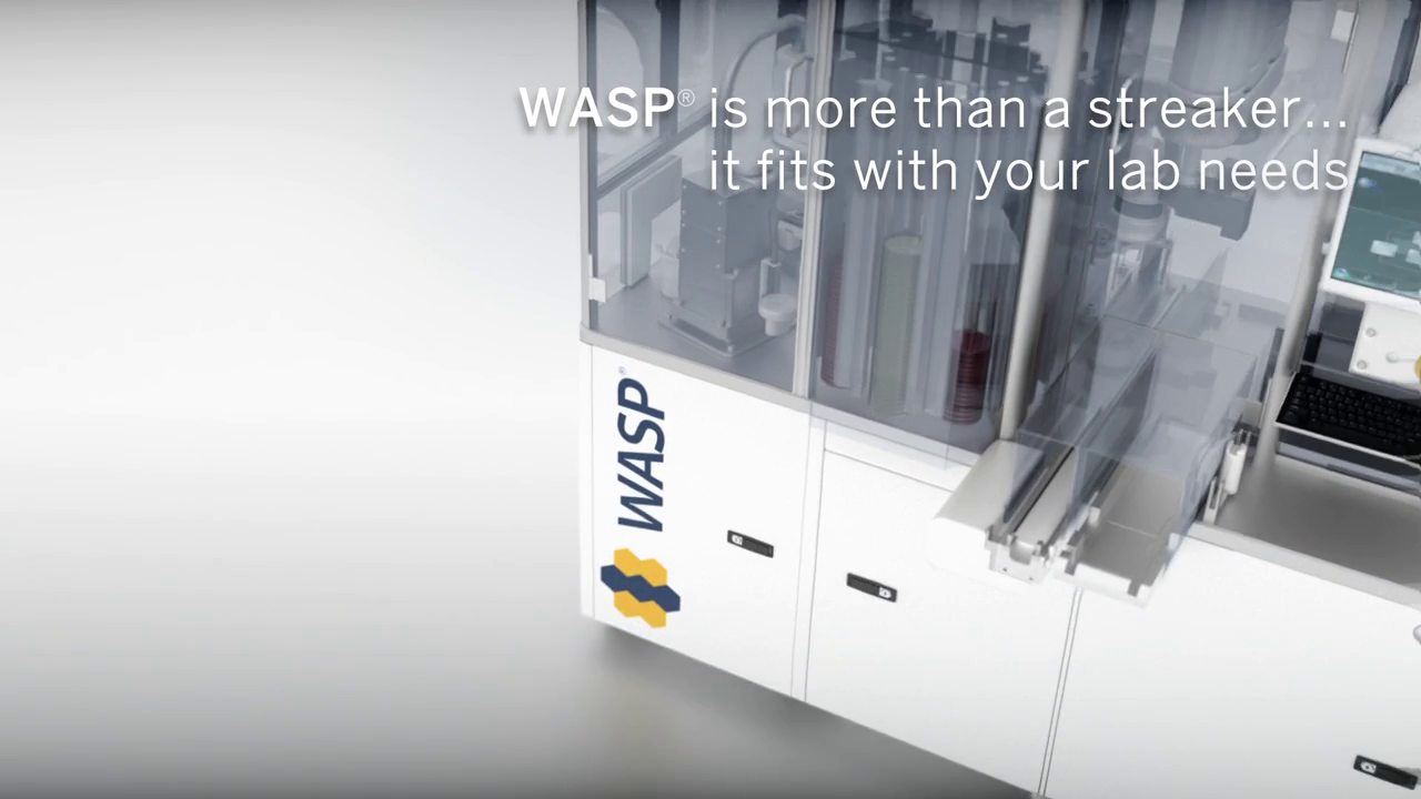 Vídeo do WASP®