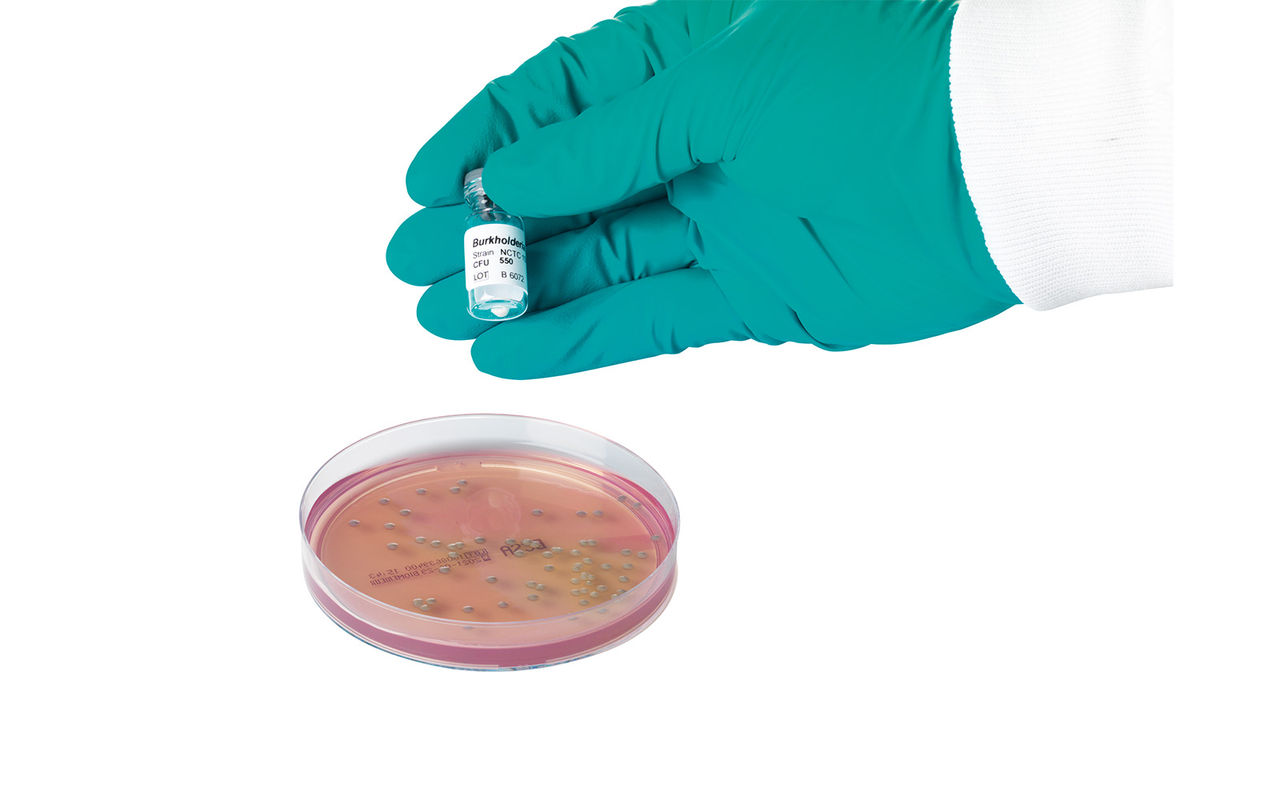 Microbiological quality control strains